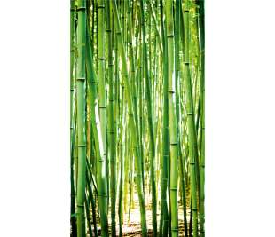 r-dig_orom_a36901_web