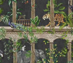 91351-Petra-Black_web