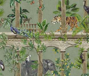 91353-Petra-sage_web