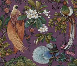 91400-Yasuni-Plum_web