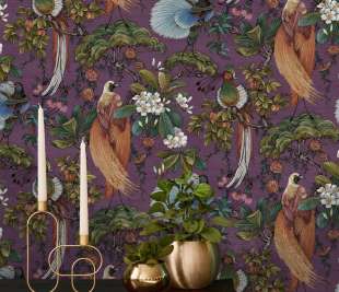 91400-Yasuni-plum-roomshot_web