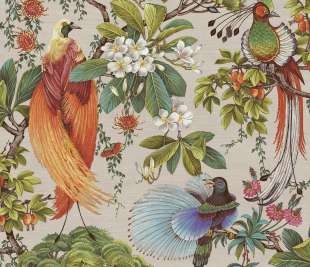 91404-Yasuni-cream_web