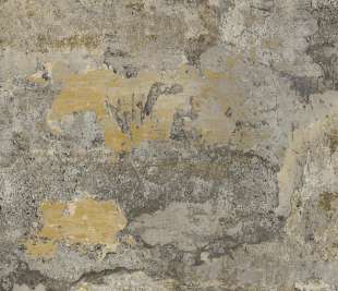 91421-elgon-ochre_web