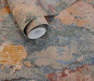 91423-elgon-multi-rollshot_web