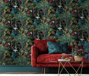 91441-Masoala-black-whiteroom_web