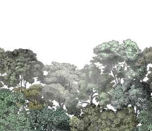 R13051_Rebel-Walls-3-image1_web