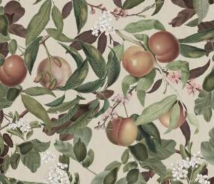 R17992_image1_1080x1350