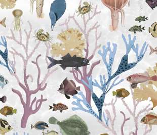 R18032_image1_1080x1350