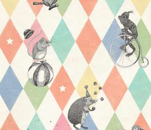 R18041_image1_1080x1350