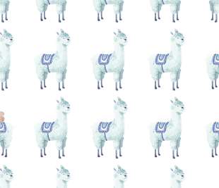 R18132_image1_1080x1350