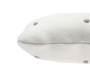 SC-BISCUIT-IVO_4_web