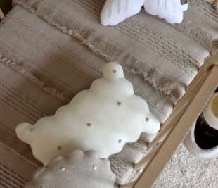 SC-BISCUIT-IVO_9_web