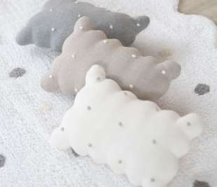 SC-BISCUIT-DWH_7_web