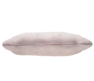 SC-BISCUIT-PP_3_web
