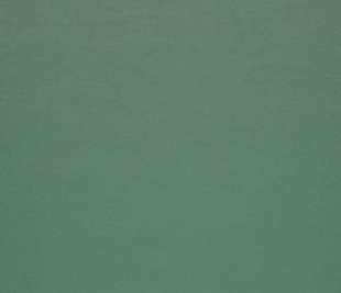 assets_collections_2012 islington wide_2012-620 islington wide fern