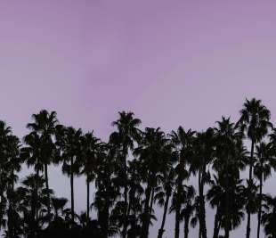 R16052_Rebel-Walls-11-image1_web