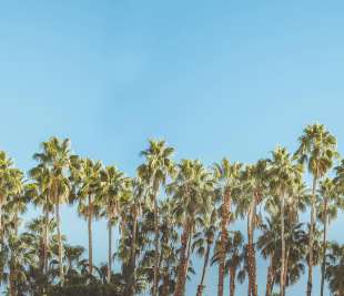 R16051_Rebel-Walls-11-image1_web