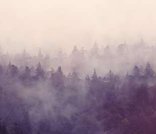 R16001_Rebel-Walls-11-image1_web