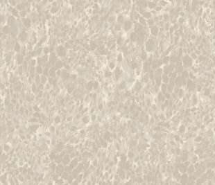 65871-Panthera-images-cream_web