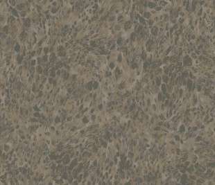 65872-Panthera-images-charcoal_web