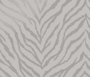 65840-Zahara-image-grey-SHINE_web