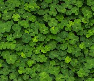 R15841_Rebel-Walls-11-image1_web