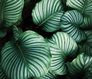 R15831_Rebel-Walls-11-image1_web