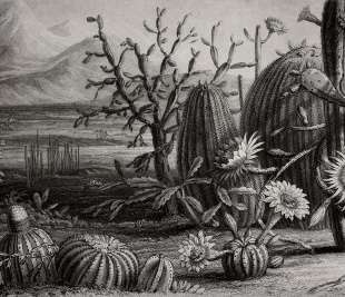 R15741_Rebel-Walls-218-image1_web