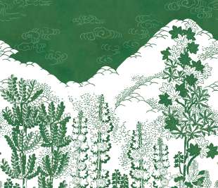 R15721_Rebel-Walls-218-image1_web