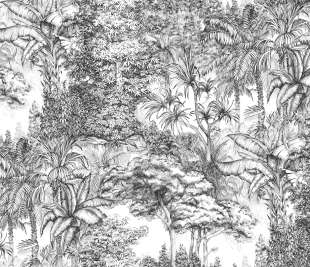 R14704_Rebel-Walls-11-image1_web