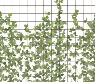 R13993_Rebel-Walls-6-image-1_web