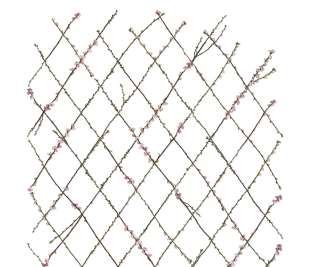 R13221_Rebel-Walls-3-image1_web