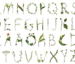 R13195_Rebel-Walls-11-image1_web