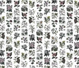 R13172_Rebel-Walls-3-image-1_web