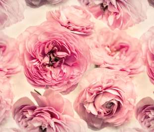 R13091_Rebel-Walls-3-image-1_web