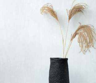 CASADECO_85416148.2-85416148_web