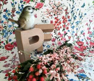 D_288352_PetiteFleur5_web