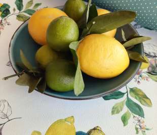 D_288420_1_PetiteFleur5_web