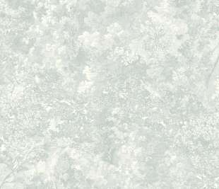 CASADECO_87246136_1_web