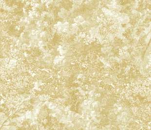 CASADECO_87242248_web