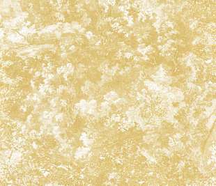 CASADECO_87242248_1_web