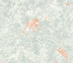 CASADECO_87256032_web