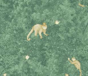 CASADECO_87257803_1_web