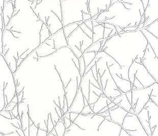 CASADECO_87269062_web