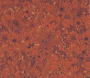 CASAMANCE_75111324_web