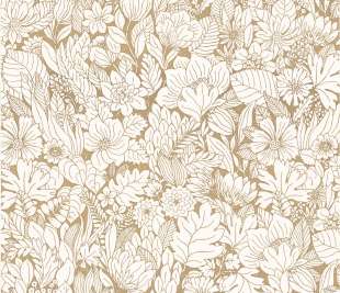 CASAMANCE_75111732_web