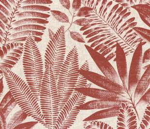 CASAMANCE_75183682_web