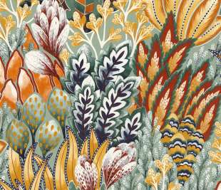 CASAMANCE_75162652_web