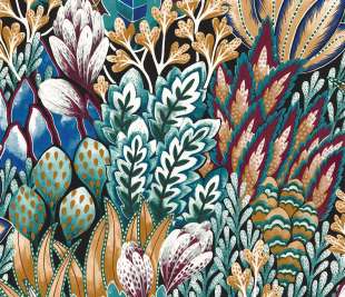 CASAMANCE_75162858_web