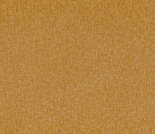 CASAMANCE_75043170_web